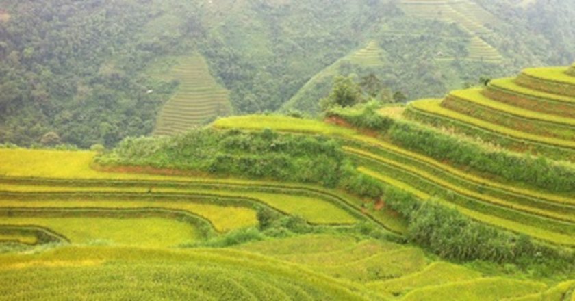 Trekking in Sapa