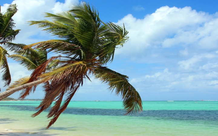 Jamaica