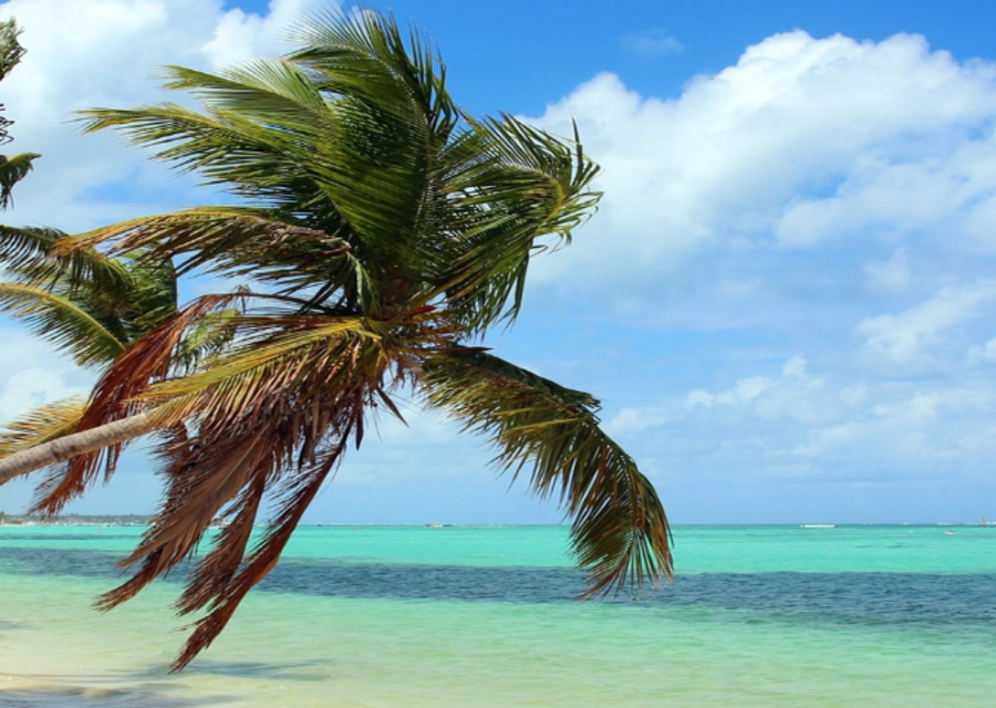 Jamaica