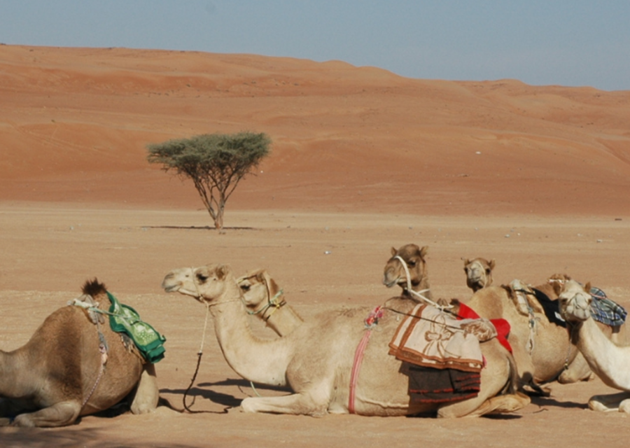 Oman