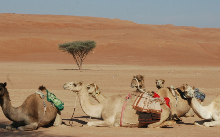Oman