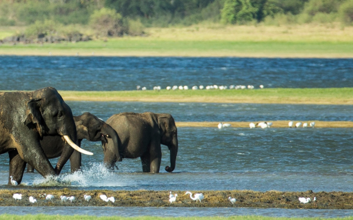 Sri Lanka