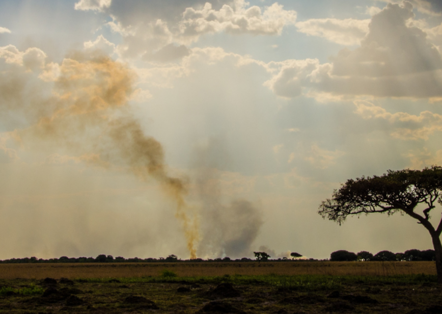 Zambia
