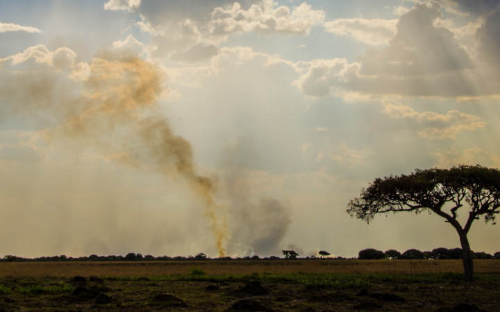 Zambia