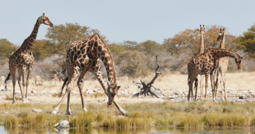 Huambo – Garden City with a Calm Pace