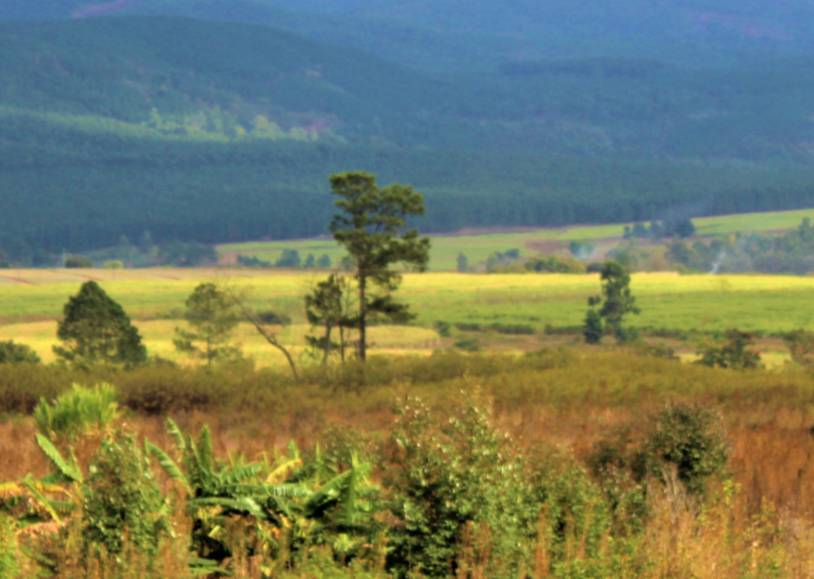 Eswatini (Swaziland)