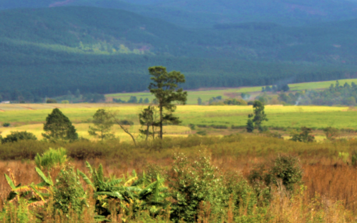 Eswatini (Swaziland)
