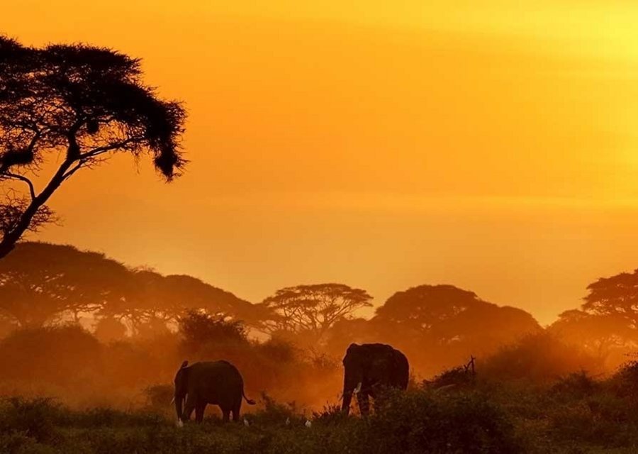 Tanzania