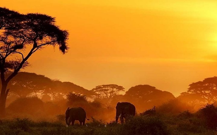 Tanzania