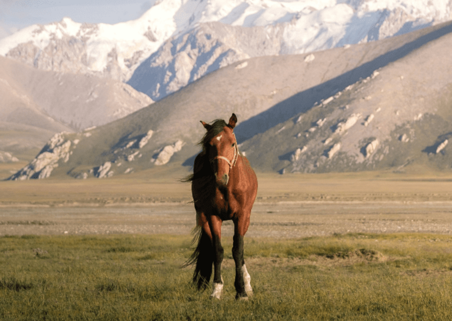 Kyrgyzstan