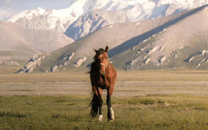 Kyrgyzstan