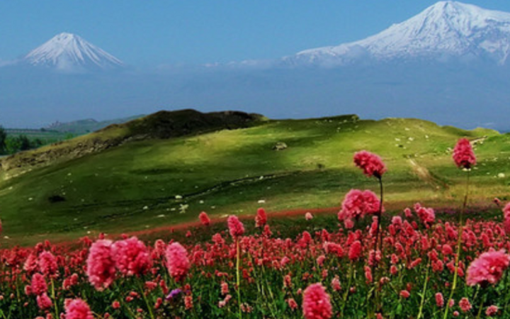 Armenia