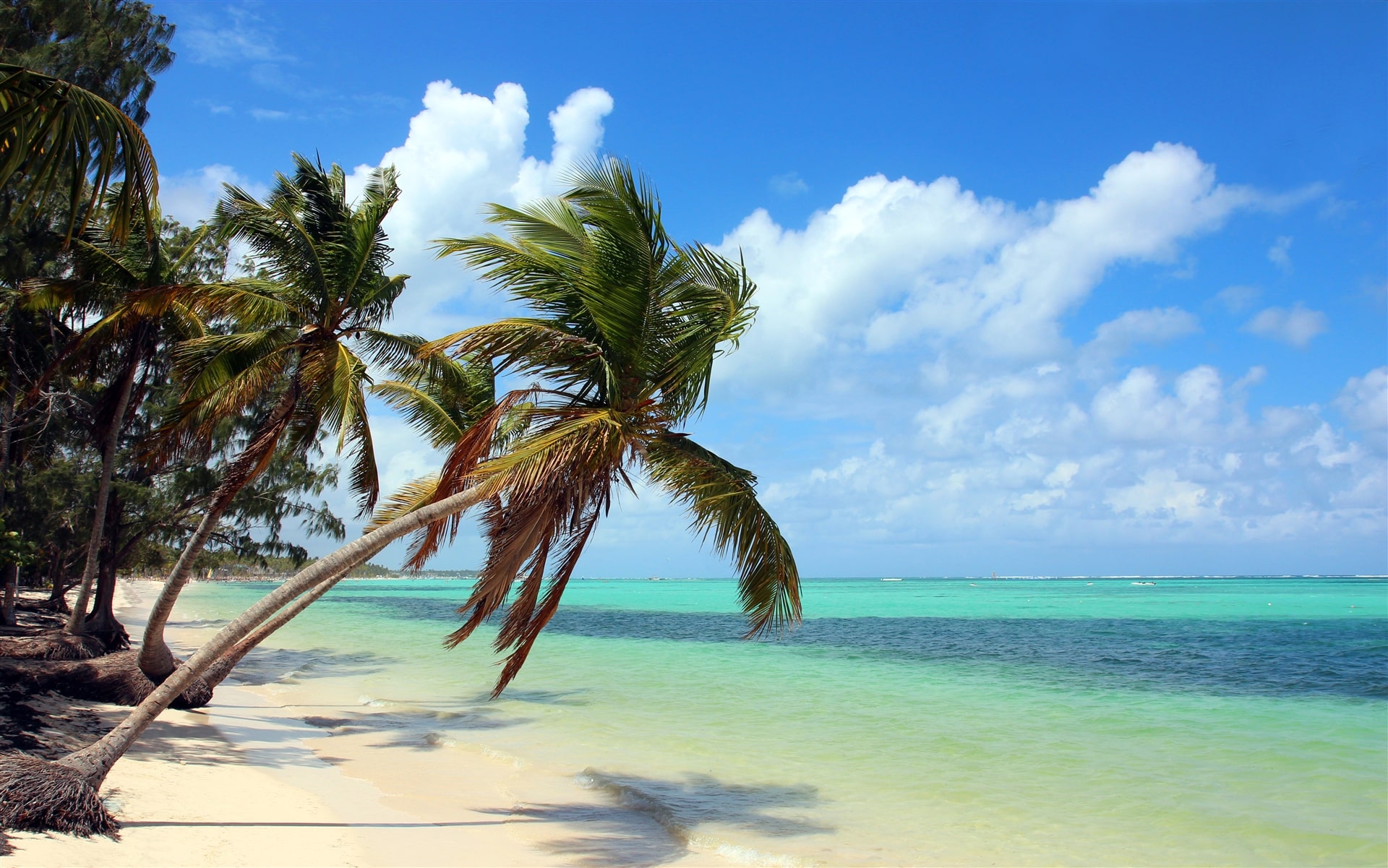 Dominican Republic