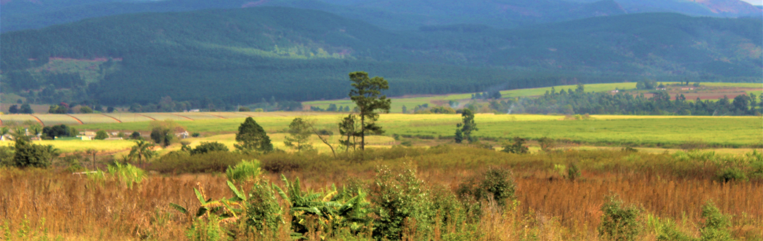Eswatini (Swaziland)