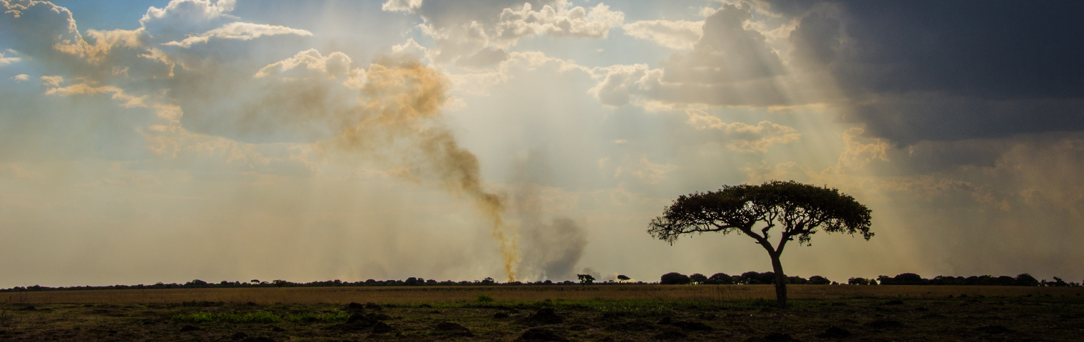 Zambia