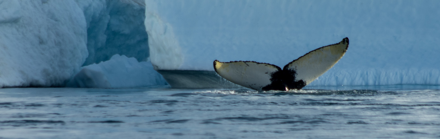 Greenland