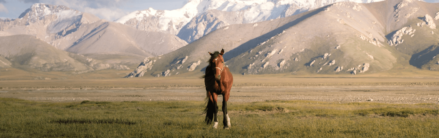 Kyrgyzstan