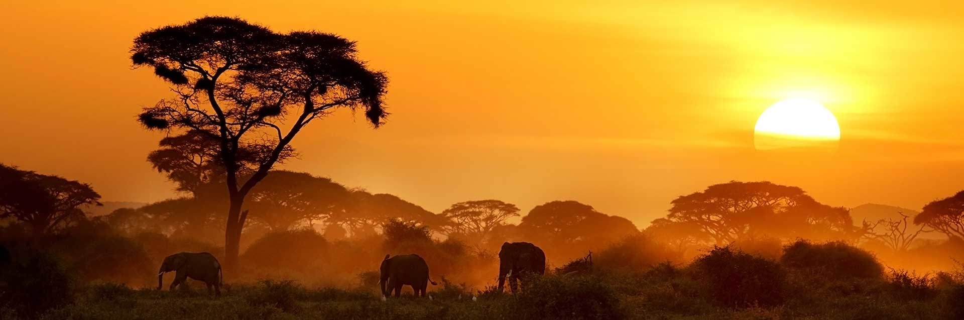 Tanzania