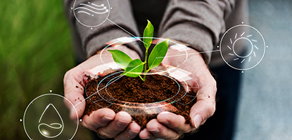Sustainability Image