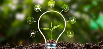 Sustainability Image